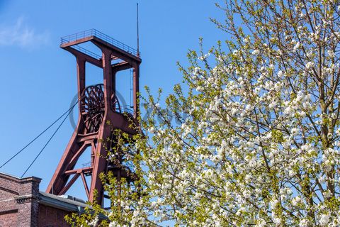 Der Förderturm und das Einstrebenfördergerüst wurden über den beiden ersten Zollverein-Schächten errichtet. 1904 und 1954 wurde die Schachtanlage modernisiert, auch die Förderanlagen wurden dabei erneuert.

Areal B [Schacht 1/2/8], Fördergerüst [B40]