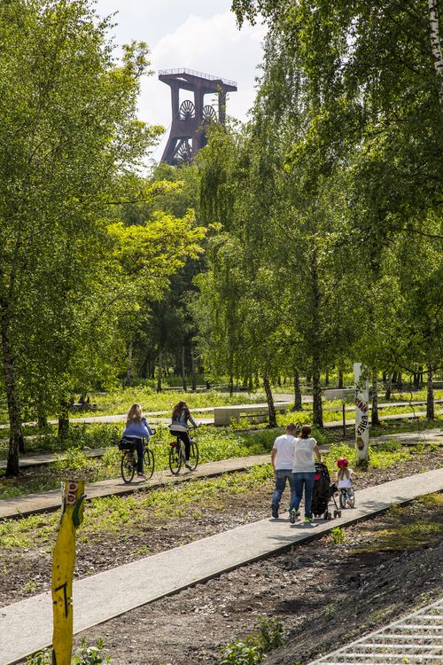 Die Halden, Schienenwege und Freiflächen zwischen den Schachtanlagen sind heute der ZOLLVEREIN® Park, der Bestandteil des Emscher Landschaftsparks (ELP) ist. 

Auf der Grundlage des Masterplans „Industrielandschaft Zollverein“, den 2003 die Agentur Agence Ter unter Leitung von Prof. Henri Bava erstellt hat, wandelte ein interdisziplinäres Team aus Landschaftsarchitekten, Künstlern und Designern die ehemalige Industriebrache um. 

Neben dem Orientierungs-, Beleuchtungs- und Wegekonzept  bieten  Bänke, Pavillons, Spielorte und Aussichtsplattformen den Besuchern Aufenthalts- und Erholungsqualität. Der ursprüngliche Charakter des ehemals industriell genutzten Geländes bleibt erhalten: Überall wachsen typische postindustrielle Pflanzen wie Birken, Robinien und Sommerflieder. 

Das 55 Meter hohe Doppelbock-Fördergerüst ist das Wahrzeichen der Zeche Zollverein, der Stadt Essen und der gesamten Region: Die als Doppelstrebengerüst in Vollwandbauweise konstruierte Förderanlage ermöglichte eine doppelte Fördermechanik, mittels derer die doppelte Menge Förderwagen bzw. Fördergefäße transportiert werden konnten. Zollverein Schacht XII galt zu Betriebszeiten als die leistungsstärkste Zeche der Welt. 250 Stufen führen auf die oberste Plattform des Gerüstes, deren Seilscheiben sich auch heute noch drehen: Der Schacht wird heute von der RAG AG für die zentrale Wasserhaltung genutzt.

Das „Labyrinth der verborgenen Schätze“ bezeichnet eine Gruppe von elf Holzskulpturen rund um das Stellwerk I [A24] auf Schacht XII, die 2008 von dem Künstler Georg Janthur gemeinsam mit Schülern der Essener Kant-Grundschule als Teil des Projektes „Wildnis vor der Haustür“ 2006/2007 realisiert wurden.

Areal A [Schacht XII], Fördergerüst [A1]