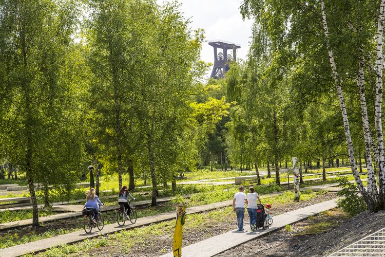 Die Halden, Schienenwege und Freiflächen zwischen den Schachtanlagen sind heute der ZOLLVEREIN® Park, der Bestandteil des Emscher Landschaftsparks (ELP) ist. 

Auf der Grundlage des Masterplans „Industrielandschaft Zollverein“, den 2003 die Agentur Agence Ter unter Leitung von Prof. Henri Bava erstellt hat, wandelte ein interdisziplinäres Team aus Landschaftsarchitekten, Künstlern und Designern die ehemalige Industriebrache um. 

Neben dem Orientierungs-, Beleuchtungs- und Wegekonzept  bieten  Bänke, Pavillons, Spielorte und Aussichtsplattformen den Besuchern Aufenthalts- und Erholungsqualität. Der ursprüngliche Charakter des ehemals industriell genutzten Geländes bleibt erhalten: Überall wachsen typische postindustrielle Pflanzen wie Birken, Robinien und Sommerflieder. 

Das 55 Meter hohe Doppelbock-Fördergerüst ist das Wahrzeichen der Zeche Zollverein, der Stadt Essen und der gesamten Region: Die als Doppelstrebengerüst in Vollwandbauweise konstruierte Förderanlage ermöglichte eine doppelte Fördermechanik, mittels derer die doppelte Menge Förderwagen bzw. Fördergefäße transportiert werden konnten. Zollverein Schacht XII galt zu Betriebszeiten als die leistungsstärkste Zeche der Welt. 250 Stufen führen auf die oberste Plattform des Gerüstes, deren Seilscheiben sich auch heute noch drehen: Der Schacht wird heute von der RAG AG für die zentrale Wasserhaltung genutzt.

Das „Labyrinth der verborgenen Schätze“ bezeichnet eine Gruppe von elf Holzskulpturen rund um das Stellwerk I [A24] auf Schacht XII, die 2008 von dem Künstler Georg Janthur gemeinsam mit Schülern der Essener Kant-Grundschule als Teil des Projektes „Wildnis vor der Haustür“ 2006/2007 realisiert wurden.

Areal A [Schacht XII], Fördergerüst [A1]