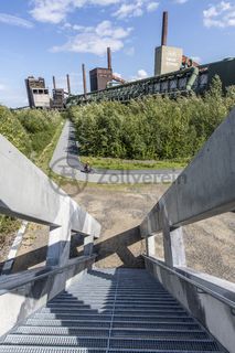 Die Halden, Schienenwege und Freiflächen zwischen den Schachtanlagen sind heute der ZOLLVEREIN® Park, der Bestandteil des Emscher Landschaftsparks (ELP) ist. 

Auf der Grundlage des Masterplans „Industrielandschaft Zollverein“, den 2003 die Agentur Agence Ter unter Leitung von Prof. Henri Bava erstellt hat, wandelte ein interdisziplinäres Team aus Landschaftsarchitekten, Künstlern und Designern die ehemalige Industriebrache um. 

Neben dem Orientierungs-, Beleuchtungs- und Wegekonzept  bieten  Bänke, Pavillons, Spielorte und Aussichtsplattformen den Besuchern Aufenthalts- und Erholungsqualität. Der ursprüngliche Charakter des ehemals industriell genutzten Geländes bleibt erhalten: Überall wachsen typische postindustrielle Pflanzen wie Birken, Robinien und Sommerflieder. 

Die Ringpromenade ist ein 3,5 Kilometer langer kombinierter Fuß- und Radweg rings um das Zollverein-Areal und Teil des ZOLLVEREIN® Parks. Rad- und Fußweg sind durch eine Fuge getrennt, in die rote LED-Lichtpunkte eingelassen sind.

Die turmartige Aussichtsplattform der Künstlergruppe Observatorium im ZOLLVEREIN® Park ermöglicht den Besuchern eine neue Perspektive auf das Kokereigelände.

Areal C [Kokerei]