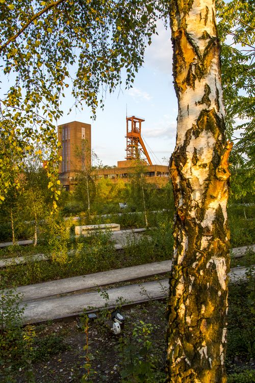 Die Halden, Schienenwege und Freiflächen zwischen den Schachtanlagen sind heute der ZOLLVEREIN® Park, der Bestandteil des Emscher Landschaftsparks (ELP) ist. 

Auf der Grundlage des Masterplans „Industrielandschaft Zollverein“, den 2003 die Agentur Agence Ter unter Leitung von Prof. Henri Bava erstellt hat, wandelte ein interdisziplinäres Team aus Landschaftsarchitekten, Künstlern und Designern die ehemalige Industriebrache um. 

Neben dem Orientierungs-, Beleuchtungs- und Wegekonzept  bieten  Bänke, Pavillons, Spielorte und Aussichtsplattformen den Besuchern Aufenthalts- und Erholungsqualität. Der ursprüngliche Charakter des ehemals industriell genutzten Geländes bleibt erhalten: Überall wachsen typische postindustrielle Pflanzen wie Birken, Robinien und Sommerflieder. 

Die 1851 in Betrieb genommene Gründerschachtanlage 1/2/8 ist die älteste Schachtanlage der Zeche Zollverein. Die vorhandenen Ziegelmassivbauten stammen aus dem ersten Jahrzehnt des 20. Jahrhunderts, sämtliche Erweiterungsbauten nach 1932 wurden im architektonischen Stil der Schachtanlage Zollverein XII errichtet. Auf Schacht 1/2/8 befanden sich mit der Markenkontrolle, Kaue und Lampenstube auch die Sozialräume für die auf Schacht 1/2/8 und Schacht XII tätigen Bergleute. Nach der Stilllegung 1986 wurde die Schachtanlage 1/2/8 saniert und beherbergt heute Ateliers sowie die renommierte Kulturinstitution PACT Zollverein. 2000 wurde die Schachtanlage 1/2/8 in die Denkmalliste der Stadt Essen aufgenommen und gehört seit 2001 zum UNESCO-Welterbe. 

Areal B [Schacht 1/2/8]