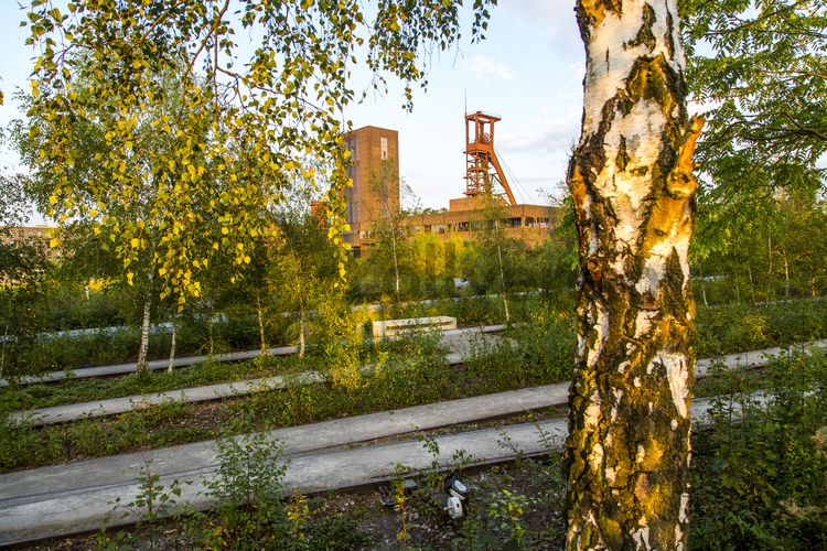 Die Halden, Schienenwege und Freiflächen zwischen den Schachtanlagen sind heute der ZOLLVEREIN® Park, der Bestandteil des Emscher Landschaftsparks (ELP) ist. 

Auf der Grundlage des Masterplans „Industrielandschaft Zollverein“, den 2003 die Agentur Agence Ter unter Leitung von Prof. Henri Bava erstellt hat, wandelte ein interdisziplinäres Team aus Landschaftsarchitekten, Künstlern und Designern die ehemalige Industriebrache um. 

Neben dem Orientierungs-, Beleuchtungs- und Wegekonzept  bieten  Bänke, Pavillons, Spielorte und Aussichtsplattformen den Besuchern Aufenthalts- und Erholungsqualität. Der ursprüngliche Charakter des ehemals industriell genutzten Geländes bleibt erhalten: Überall wachsen typische postindustrielle Pflanzen wie Birken, Robinien und Sommerflieder. 

Die 1851 in Betrieb genommene Gründerschachtanlage 1/2/8 ist die älteste Schachtanlage der Zeche Zollverein. Die vorhandenen Ziegelmassivbauten stammen aus dem ersten Jahrzehnt des 20. Jahrhunderts, sämtliche Erweiterungsbauten nach 1932 wurden im architektonischen Stil der Schachtanlage Zollverein XII errichtet. Auf Schacht 1/2/8 befanden sich mit der Markenkontrolle, Kaue und Lampenstube auch die Sozialräume für die auf Schacht 1/2/8 und Schacht XII tätigen Bergleute. Nach der Stilllegung 1986 wurde die Schachtanlage 1/2/8 saniert und beherbergt heute Ateliers sowie die renommierte Kulturinstitution PACT Zollverein. 2000 wurde die Schachtanlage 1/2/8 in die Denkmalliste der Stadt Essen aufgenommen und gehört seit 2001 zum UNESCO-Welterbe. 

Areal B [Schacht 1/2/8]