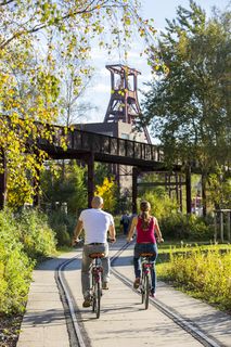 Die Halden, Schienenwege und Freiflächen zwischen den Schachtanlagen sind heute der ZOLLVEREIN® Park, der Bestandteil des Emscher Landschaftsparks (ELP) ist. 

Auf der Grundlage des Masterplans „Industrielandschaft Zollverein“, den 2003 die Agentur Agence Ter unter Leitung von Prof. Henri Bava erstellt hat, wandelte ein interdisziplinäres Team aus Landschaftsarchitekten, Künstlern und Designern die ehemalige Industriebrache um. 

Neben dem Orientierungs-, Beleuchtungs- und Wegekonzept  bieten  Bänke, Pavillons, Spielorte und Aussichtsplattformen den Besuchern Aufenthalts- und Erholungsqualität. Der ursprüngliche Charakter des ehemals industriell genutzten Geländes bleibt erhalten: Überall wachsen typische postindustrielle Pflanzen wie Birken, Robinien und Sommerflieder. 

Die Mannschaftsbrücke führte von der Schachtanlage 1/2/8 zur Schachtanlage XII und war der Verbindungsweg für die Bergleute. Ein Passieren zu ebener Erde war aufgrund des Zugverkehrs nicht möglich.

Das 55 Meter hohe Doppelbock-Fördergerüst ist das Wahrzeichen der Zeche Zollverein, der Stadt Essen und der gesamten Region: Die als Doppelstrebengerüst in Vollwandbauweise konstruierte Förderanlage ermöglichte eine doppelte Fördermechanik, mittels derer die doppelte Menge Förderwagen bzw. Fördergefäße transportiert werden konnten. Zollverein Schacht XII galt zu Betriebszeiten als die leistungsstärkste Zeche der Welt. 250 Stufen führen auf die oberste Plattform des Gerüstes, deren Seilscheiben sich auch heute noch drehen: Der Schacht wird heute von der RAG AG für die zentrale Wasserhaltung genutzt.

Areal A [Schacht XII]