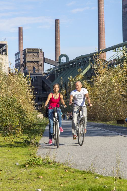 Die Halden, Schienenwege und Freiflächen zwischen den Schachtanlagen sind heute der ZOLLVEREIN® Park, der Bestandteil des Emscher Landschaftsparks (ELP) ist. 

Auf der Grundlage des Masterplans „Industrielandschaft Zollverein“, den 2003 die Agentur Agence Ter unter Leitung von Prof. Henri Bava erstellt hat, wandelte ein interdisziplinäres Team aus Landschaftsarchitekten, Künstlern und Designern die ehemalige Industriebrache um. 

Neben dem Orientierungs-, Beleuchtungs- und Wegekonzept  bieten  Bänke, Pavillons, Spielorte und Aussichtsplattformen den Besuchern Aufenthalts- und Erholungsqualität. Der ursprüngliche Charakter des ehemals industriell genutzten Geländes bleibt erhalten: Überall wachsen typische postindustrielle Pflanzen wie Birken, Robinien und Sommerflieder. 

Die Ringpromenade ist ein 3,5 Kilometer langer kombinierter Fuß- und Radweg rings um das Zollverein-Areal und Teil des ZOLLVEREIN® Parks. Rad- und Fußweg sind durch eine Fuge getrennt, in die rote LED-Lichtpunkte eingelassen sind.

Areal C [Kokerei]