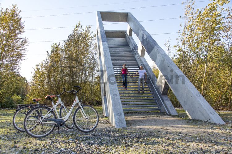 Die Halden, Schienenwege und Freiflächen zwischen den Schachtanlagen sind heute der ZOLLVEREIN® Park, der Bestandteil des Emscher Landschaftsparks (ELP) ist. 

Auf der Grundlage des Masterplans „Industrielandschaft Zollverein“, den 2003 die Agentur Agence Ter unter Leitung von Prof. Henri Bava erstellt hat, wandelte ein interdisziplinäres Team aus Landschaftsarchitekten, Künstlern und Designern die ehemalige Industriebrache um. 

Neben dem Orientierungs-, Beleuchtungs- und Wegekonzept  bieten  Bänke, Pavillons, Spielorte und Aussichtsplattformen den Besuchern Aufenthalts- und Erholungsqualität. Der ursprüngliche Charakter des ehemals industriell genutzten Geländes bleibt erhalten: Überall wachsen typische postindustrielle Pflanzen wie Birken, Robinien und Sommerflieder. 

Die turmartige Aussichtsplattform der Künstlergruppe Observatorium im ZOLLVEREIN® Park ermöglicht den Besuchern eine neue Perspektive auf das Kokereigelände.

Areal C [Kokerei]