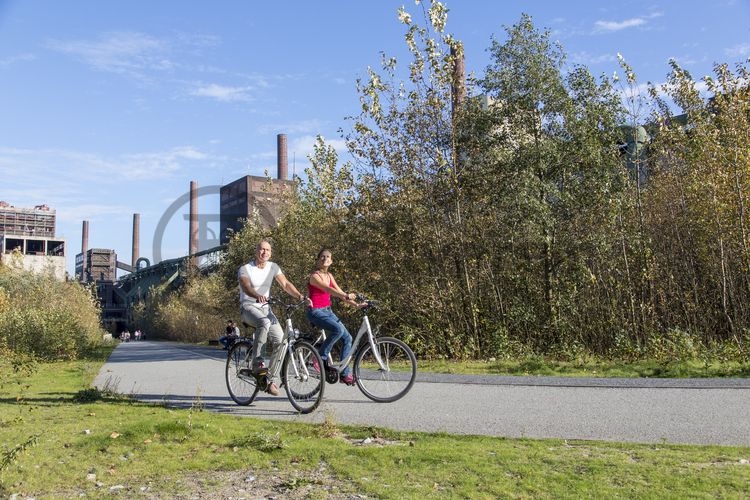 Die Halden, Schienenwege und Freiflächen zwischen den Schachtanlagen sind heute der ZOLLVEREIN® Park, der Bestandteil des Emscher Landschaftsparks (ELP) ist. 

Auf der Grundlage des Masterplans „Industrielandschaft Zollverein“, den 2003 die Agentur Agence Ter unter Leitung von Prof. Henri Bava erstellt hat, wandelte ein interdisziplinäres Team aus Landschaftsarchitekten, Künstlern und Designern die ehemalige Industriebrache um. 

Neben dem Orientierungs-, Beleuchtungs- und Wegekonzept  bieten  Bänke, Pavillons, Spielorte und Aussichtsplattformen den Besuchern Aufenthalts- und Erholungsqualität. Der ursprüngliche Charakter des ehemals industriell genutzten Geländes bleibt erhalten: Überall wachsen typische postindustrielle Pflanzen wie Birken, Robinien und Sommerflieder. 

Die Ringpromenade ist ein 3,5 Kilometer langer kombinierter Fuß- und Radweg rings um das Zollverein-Areal und Teil des ZOLLVEREIN® Parks. Rad- und Fußweg sind durch eine Fuge getrennt, in die rote LED-Lichtpunkte eingelassen sind.

Areal C [Kokerei]