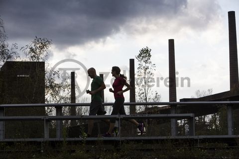 Die Rasenterrasse ist der erhöht liegende Gleisweg am westlichen Rand der Gleisharfe, in deren Mitte eine Aussichtsplattform eingerichtet ist. Von hier aus können Besucher sowohl die Fördergerüste der Schächte 1/2/8 und XII als auch die Kokerei überblicken. Die Rasenterrasse ist Bestandteil des Zollverein Parks.