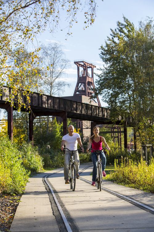 Die Halden, Schienenwege und Freiflächen zwischen den Schachtanlagen sind heute der Zollverein Park, der Bestandteil des Emscher Landschaftsparks ist. 

Auf der Grundlage des Masterplans „Industrielandschaft Zollverein“, den 2003 die Agentur Agence Ter unter Leitung von Prof. Henri Bava erstellt hat, wandelte ein interdisziplinäres Team aus Landschaftsarchitekten, Künstlern und Designern die ehemalige Industriebrache um. 

Neben dem Orientierungs-, Beleuchtungs- und Wegekonzept  bieten  Bänke, Pavillons, Spielorte und Aussichtsplattformen den Besuchern Aufenthalts- und Erholungsqualität. Der ursprüngliche Charakter des ehemals industriell genutzten Geländes bleibt erhalten: Überall wachsen typische postindustrielle Pflanzen wie Birken, Robinien und Sommerflieder. 

Die Mannschaftsbrücke führte von der Schachtanlage 1/2/8 zur Schachtanlage XII und war der Verbindungsweg für die Bergleute. Ein Passieren zu ebener Erde war aufgrund des Zugverkehrs nicht möglich.

Das 55 Meter hohe Doppelbock-Fördergerüst ist das Wahrzeichen der Zeche Zollverein, der Stadt Essen und der gesamten Region: Die als Doppelstrebengerüst in Vollwandbauweise konstruierte Förderanlage ermöglichte eine doppelte Fördermechanik, mittels derer die doppelte Menge Förderwagen bzw. Fördergefäße transportiert werden konnten. Zollverein Schacht XII galt zu Betriebszeiten als die leistungsstärkste Zeche der Welt. 250 Stufen führen auf die oberste Plattform des Gerüstes, deren Seilscheiben sich auch heute noch drehen: Der Schacht wird heute von der RAG AG für die zentrale Wasserhaltung genutzt.