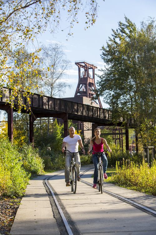 Die Halden, Schienenwege und Freiflächen zwischen den Schachtanlagen sind heute der ZOLLVEREIN® Park, der Bestandteil des Emscher Landschaftsparks (ELP) ist. 

Auf der Grundlage des Masterplans „Industrielandschaft Zollverein“, den 2003 die Agentur Agence Ter unter Leitung von Prof. Henri Bava erstellt hat, wandelte ein interdisziplinäres Team aus Landschaftsarchitekten, Künstlern und Designern die ehemalige Industriebrache um. 

Neben dem Orientierungs-, Beleuchtungs- und Wegekonzept  bieten  Bänke, Pavillons, Spielorte und Aussichtsplattformen den Besuchern Aufenthalts- und Erholungsqualität. Der ursprüngliche Charakter des ehemals industriell genutzten Geländes bleibt erhalten: Überall wachsen typische postindustrielle Pflanzen wie Birken, Robinien und Sommerflieder. 

Die Mannschaftsbrücke führte von der Schachtanlage 1/2/8 zur Schachtanlage XII und war der Verbindungsweg für die Bergleute. Ein Passieren zu ebener Erde war aufgrund des Zugverkehrs nicht möglich.

Das 55 Meter hohe Doppelbock-Fördergerüst ist das Wahrzeichen der Zeche Zollverein, der Stadt Essen und der gesamten Region: Die als Doppelstrebengerüst in Vollwandbauweise konstruierte Förderanlage ermöglichte eine doppelte Fördermechanik, mittels derer die doppelte Menge Förderwagen bzw. Fördergefäße transportiert werden konnten. Zollverein Schacht XII galt zu Betriebszeiten als die leistungsstärkste Zeche der Welt. 250 Stufen führen auf die oberste Plattform des Gerüstes, deren Seilscheiben sich auch heute noch drehen: Der Schacht wird heute von der RAG AG für die zentrale Wasserhaltung genutzt.

Areal A [Schacht XII]