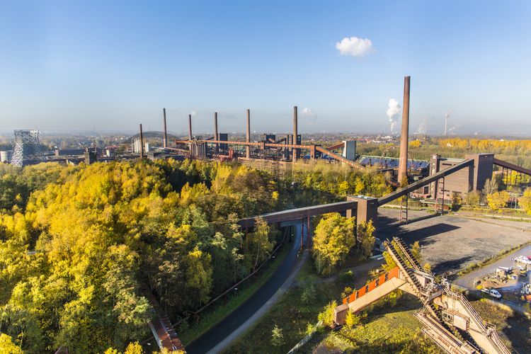 Die Kokerei Zollverein wurde von 1957 bis 1961 nach Plänen des Architekten Fritz Schupp gebaut, nach Erweiterungsarbeiten war sie ab 1973 die größte Zentralkokerei Europas. Täglich waren bis zu 1.000 Koker rund um die Uhr im Einsatz, bis zu 8.600 Tonnen Koks wurden pro Tag produziert. 1993 wurde die Kokerei stillgelegt. 2000 wurde die Kokerei in die Denkmalliste der Stadt Essen aufgenommen und gehört seit 2001 zum UNESCO-Welterbe. 2010 ist die Kokerei in den Besitz der Stiftung Zollverein übergegangen. Die „schwarze Seite“ der Kokerei, die den Bereich der Koksproduktion bezeichnet, kann bei einer Führung durch den Denkmalpfad ZOLLVEREIN® besichtigt werden.

Der Portalkratzer zwischen dem Zechengelände von Schacht XII und der Kokerei wurde 1973 auf dem Kohlenlagerplatz installiert. Es handelt sich um ein sogenanntes Kombinationsgerät der Firma Schade, das gleichzeitig einen Absetzer zum Haldenaufbau sowie einen Kratzer zum Abbau der Halde beinhaltet. Der Absetzer hat die von Zollverein Schacht XII kommende Kokskohle zu einer Halde aufgebaut, während der Kratzer mit an Ketten befestigten Schaufeln die Halde abgekratzt und auf ein laufendes Förderband weiter zur Kokerei transportiert hat. Die Kokskohle wurde gelagert, um im Falle eines Produktionsstillstandes auf der Zeche weiterhin die Kokerei mit Kokskohle zu versorgen, denn die Koksöfen mussten permanent produzieren und durften nicht erkalten.

In die Kategorie Industriewald gehört das 40 Hektar große Waldstück zwischen Schacht XII und Kokerei. Auf Waschbergen, Bauschutt und Gleisschotter hat sich die Natur ihren Raum zurückerobert. Hier wachsen u. a. Birken, Weiden, Robinien, Roteichen, Ebereschen und Ahorn sowie verschiedene Kräuter und Wildblumen. 

Ort: Areal C [Kokerei]