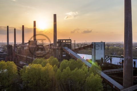 Die Kokerei Zollverein wurde von 1957 bis 1961 nach Plänen des Architekten Fritz Schupp gebaut, nach Erweiterungsarbeiten war sie ab 1973 die größte Zentralkokerei Europas. Täglich waren bis zu 1.000 Koker rund um die Uhr im Einsatz, bis zu 8.600 Tonnen Koks wurden pro Tag produziert. 1993 wurde die Kokerei stillgelegt. 2000 wurde die Kokerei in die Denkmalliste der Stadt Essen aufgenommen und gehört seit 2001 zum UNESCO-Welterbe. 2010 ist die Kokerei in den Besitz der Stiftung Zollverein übergegangen. Die „schwarze Seite“ der Kokerei, die den Bereich der Koksproduktion bezeichnet, kann bei einer Führung durch den Denkmalpfad ZOLLVEREIN® besichtigt werden.

Die 600 Meter langen Koksofenbatterien mit 304 schmalen Koksöfen prägen das Gesicht der sogenannten „schwarzen Seite“ der Kokerei. Die Ofendecke, das Innere der Koksöfen, die Löschgleishalle und weitere Bereiche können Besucher im Rahmen einer Führung im  Denkmalpfad ZOLLVEREIN® entdecken.

Ort: Areal C [Kokerei]