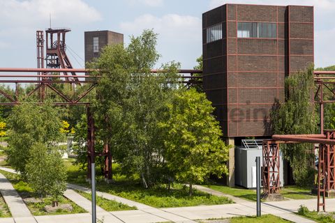 In den Kesselaschebunker [A13] (auch Aschebunker) wurde zu Betriebszeiten der Zeche über eine Rohrleitung aus dem Kesselhaus Asche eingeblasen. Die Kesselasche konnte vom Aschebunker direkt auf Eisenbahnwaggons verladen werden. Seit 2002 ist die begehbare Skulptur LA PRIMAVERA der deutsch-amerikanischen Künstlerin Maria Nordman in die ehemalige Durchfahrt des Bunkers installiert.

Ort: Areal A [Schacht XII], Kesselaschebunker [A13]