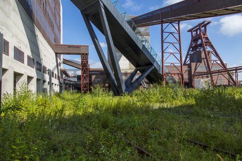 Das größte Übertagegebäude auf Zollverein, die Kohlenwäsche [A14], war zu Betriebszeiten eine Riesenmaschine, die täglich 23.000 Tonnen Rohkohle sortierte und klassierte. Von 2003 bis 2006 wurde sie von dem Office for Metropolitan Architecture (OMA) unter Leitung von Rem Koolhaas und dem Essener Büro Böll & Krabel umfassend saniert. Die Kohlenwäsche ist zentrale Anlaufstelle für Besucher sowie Museumsgebäude des 2010 eröffneten Ruhr Museums und des Portals der Industriekultur. Die oberen Etagen gehören mit den authentisch erhaltenen Übertageanlagen zum Denkmalpfad ZOLLVEREIN®. Auf dem Dach der Kohlenwäsche sind zwei Aussichtsplattformen installiert, die einen Rundblick auf das Gelände und die Region bieten. 

Das 55 Meter hohe Doppelbock-Fördergerüst ist das Wahrzeichen der Zeche Zollverein, der Stadt Essen und der gesamten Region: Die als Doppelstrebengerüst in Vollwandbauweise konstruierte Förderanlage ermöglichte eine doppelte Fördermechanik, mittels derer die doppelte Menge Förderwagen bzw. Fördergefäße transportiert werden konnten. Zollverein Schacht XII galt zu Betriebszeiten als die leistungsstärkste Zeche der Welt. 250 Stufen führen auf die oberste Plattform des Gerüstes, deren Seilscheiben sich auch heute noch drehen: Der Schacht wird heute von der RAG AG für die zentrale Wasserhaltung genutzt.

Ort: Areal A [Schacht XII], Kohlenwäsche [A14]