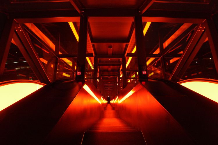 Das größte Übertagegebäude auf Zollverein, die Kohlenwäsche [A14], war zu Betriebszeiten eine Riesenmaschine, die täglich 23.000 Tonnen Rohkohle sortierte und klassierte. Von 2003 bis 2006 wurde sie von dem Office for Metropolitan Architecture (OMA) unter Leitung von Rem Koolhaas und dem Essener Büro Böll & Krabel umfassend saniert. Die Kohlenwäsche ist zentrale Anlaufstelle für Besucher sowie Museumsgebäude des 2010 eröffneten Ruhr Museums und des Portals der Industriekultur. Die oberen Etagen gehören mit den authentisch erhaltenen Übertageanlagen zum Denkmalpfad ZOLLVEREIN®. Auf dem Dach der Kohlenwäsche sind zwei Aussichtsplattformen installiert, die einen Rundblick auf das Gelände und die Region bieten. 

Die beiden 58 Meter langen Rolltreppen an der Kohlenwäsche [A14] befördern die Besucher direkt auf die 24-Meter-Ebene der Kohlenwäsche und von dort wieder nach unten. Die beiden Sonderanfertigungen von ThyssenKrupp Elevator – eine für die Auffahrt, eine für die Abfahrt – orientieren sich an den historischen Bandbrücken. Das Konzept wurde von dem Rotterdamer Office for Metropolitan Architecture (OMA) entwickelt. Eine Fahrt auf einer der beiden höchsten freistehenden Fahrtreppen Deutschlands dauert 90 Sekunden. Highlight: Bei Dunkelheit leuchten die Fahrtreppen orangerot.

Ort: Areal A [Schacht XII], Kohlenwäsche [A14]