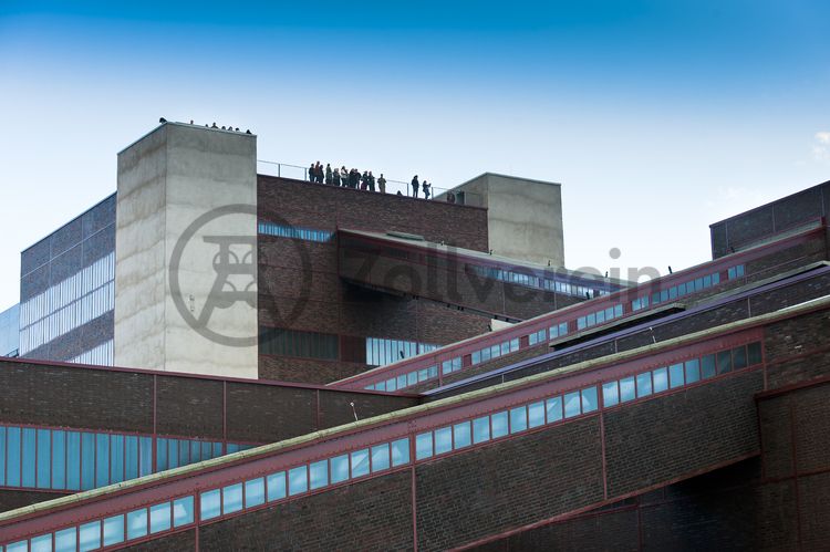 Das größte Übertagegebäude auf Zollverein, die Kohlenwäsche [A14], war zu Betriebszeiten eine Riesenmaschine, die täglich 23.000 Tonnen Rohkohle sortierte und klassierte. Von 2003 bis 2006 wurde sie von dem Office for Metropolitan Architecture (OMA) unter Leitung von Rem Koolhaas und dem Essener Büro Böll & Krabel umfassend saniert. Die Kohlenwäsche ist zentrale Anlaufstelle für Besucher sowie Museumsgebäude des 2010 eröffneten Ruhr Museums und des Portals der Industriekultur. Die oberen Etagen gehören mit den authentisch erhaltenen Übertageanlagen zum Denkmalpfad ZOLLVEREIN®. Auf dem Dach der Kohlenwäsche sind zwei Aussichtsplattformen installiert, die einen Rundblick auf das Gelände und die Region bieten. 

Die diagonal und waagerecht zwischen den Gebäuden verlaufenden Bandbrücken sind fester Bestandteil der Gebäudeensembles von Zeche und Kokerei Zollverein. In ihrem Inneren befinden sich Bänder, auf denen die Rohkohle bzw. Kokskohle oder Koks zu den einzelnen Verarbeitungsstufen transportiert wurden. Sie illustrieren sozusagen den Weg der Kohle, neben dem Transportband verlaufen  schmale Wege und Treppe für die Bergleute. Im Gegensatz zu den reinen Mannschaftsbrücken sind die Bandbrücken aus Stahlskelettbauweise mit parallel verlaufenden Fensterbändern geschlossen. 

Ort: Areal A [Schacht XII], Kohlenwäsche [A14]