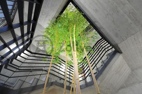 Im Foyer und im großen Saal im Obergeschoss der ehemaligen Lesebandhalle finden heute Kongresse, Messen und Konzerte statt. Bis in die 1960er Jahre lasen hier Bergleute an fünf Lesebändern von Hand die großen Gesteinsstücke aus dem Rohkohlegemisch.

Ort: Areal A [Schacht XII], Halle 12 [A12]