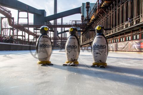 Das große Wasserbecken am ehemaligen Druckmaschinengleis auf der Kokerei Zollverein verwandelt sich im Winter in die 150 Meter lange Zollverein Eisbahn, die zum Freizeitvergnügen in faszinierender Atmosphäre einlädt. Allabendlich wird die Fläche mit der Installation „Monochromatic Red and Blue“ (1999) von Jonathan Speirs und Mark Major zu einem beeindruckenden Lichtkunstwerk.

Seit Dezember 2014 ist die Eisbahn um eine separate Fläche zum Eisstockschießen ergänzt.