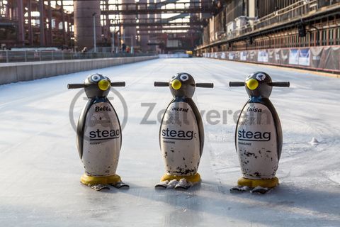 Das große Wasserbecken am ehemaligen Druckmaschinengleis [C74] auf der Kokerei Zollverein verwandelt sich im Winter in die 150 Meter lange ZOLLVEREIN® Eisbahn, die zum Freizeitvergnügen in faszinierender Atmosphäre einlädt. Allabendlich wird die Fläche mit der Installation „Monochromatic Red and Blue“ (1999) von Jonathan Speirs und Mark Major zu einem beeindruckenden Lichtkunstwerk.

Seit Dezember 2014 ist die Eisbahn um eine separate Fläche zum Eisstockschießen ergänzt.

Areal C [Kokerei], Druckmaschinengleis [C74], Kokereiallee, 45141 Essen