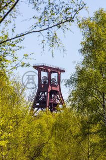 Das 55 Meter hohe Doppelbock-Fördergerüst ist das Wahrzeichen der Zeche Zollverein, der Stadt Essen und der gesamten Region: Die als Doppelstrebengerüst in Vollwandbauweise konstruierte Förderanlage ermöglichte eine doppelte Fördermechanik. Dadurch konnte die doppelte Menge an Förderwagen bzw. Fördergefäßen transportiert werden. Zollverein Schacht XII galt zu Betriebszeiten als die leistungsstärkste Zeche der Welt. 250 Stufen führen auf die oberste Plattform des Gerüstes, deren Seilscheiben sich auch heute noch manchmal drehen: Der Schacht wird von der RAG AG für die zentrale Wasserhaltung genutzt.

Die Industrienatur auf dem UNESCO-Welterbe Zollverein ist einzigartig und zeigt eindrucksvoll, dass große innerstädtische Brachen wichtige Lebensräume für Tiere und Pflanzen in der stark besiedelten Region des Ruhrgebiets sind. Auf dem Welterbe wurden über 540 Farn- und Blütenpflanzenarten, etwa 100 Flechtenarten, rund 60 Vogelarten, über 20 Schmetterlingsarten und 6 Amphibienarten nachgewiesen. 

Seit 2006 wird die besondere Verbindung von Natur und Industriearchitektur im Zollverein Park gepflegt und kontinuierlich weiterentwickelt. Grundlage für die Landschaftsgestaltung des Parks ist der Masterplan „Industrielandschaft Zollverein“, den 2003 die Agentur Agence Ter unter Leitung von Henri Bava erstellt hat.

Der Park ist nicht nur Lebensraum für viele Pflanzen- und Tierarten, sondern auch ein attraktives Freizeit- und Naherholungsgebiet. 2014 wurde der Zollverein zum beliebtesten Ziel im Emscher Landschaftspark gewählt. Früher wurde hier das taube Gestein als Abfallprodukt der Kohleförderung gelagert. Heute laden frei zugängliche Sitzgelegenheiten, Picknickplätze, Aussichtspunkte und Spielorte für Kinder zum Verweilen ein. Namhafte Künstler haben sich mit Kunstwerken und Skulpturen im Zollverein Park verewigt.

Areal A [Schacht XII], Fördergerüst [A1]