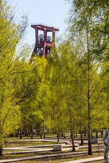 Das 55 Meter hohe Doppelbock-Fördergerüst ist das Wahrzeichen der Zeche Zollverein, der Stadt Essen und der gesamten Region: Die als Doppelstrebengerüst in Vollwandbauweise konstruierte Förderanlage ermöglichte eine doppelte Fördermechanik. Dadurch konnte die doppelte Menge an Förderwagen bzw. Fördergefäßen transportiert werden. Zollverein Schacht XII galt zu Betriebszeiten als die leistungsstärkste Zeche der Welt. 250 Stufen führen auf die oberste Plattform des Gerüstes, deren Seilscheiben sich auch heute noch manchmal drehen: Der Schacht wird von der RAG AG für die zentrale Wasserhaltung genutzt.

Die Industrienatur auf dem UNESCO-Welterbe Zollverein ist einzigartig und zeigt eindrucksvoll, dass große innerstädtische Brachen wichtige Lebensräume für Tiere und Pflanzen in der stark besiedelten Region des Ruhrgebiets sind. Auf dem Welterbe wurden über 540 Farn- und Blütenpflanzenarten, etwa 100 Flechtenarten, rund 60 Vogelarten, über 20 Schmetterlingsarten und 6 Amphibienarten nachgewiesen. 

Seit 2006 wird die besondere Verbindung von Natur und Industriearchitektur im Zollverein Park gepflegt und kontinuierlich weiterentwickelt. Grundlage für die Landschaftsgestaltung des Parks ist der Masterplan „Industrielandschaft Zollverein“, den 2003 die Agentur Agence Ter unter Leitung von Henri Bava erstellt hat.

Der Park ist nicht nur Lebensraum für viele Pflanzen- und Tierarten, sondern auch ein attraktives Freizeit- und Naherholungsgebiet. 2014 wurde der Zollverein Park zum beliebtesten Ziel im Emscher Landschaftspark gewählt. Früher wurde hier das taube Gestein als Abfallprodukt der Kohleförderung gelagert. Heute laden frei zugängliche Sitzgelegenheiten, Picknickplätze, Aussichtspunkte und Spielorte für Kinder zum Verweilen ein. Namhafte Künstler haben sich mit Kunstwerken und Skulpturen im Zollverein Park verewigt.

Areal A [Schacht XII], Fördergerüst [A1]