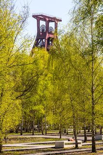 Das 55 Meter hohe Doppelbock-Fördergerüst ist das Wahrzeichen der Zeche Zollverein, der Stadt Essen und der gesamten Region: Die als Doppelstrebengerüst in Vollwandbauweise konstruierte Förderanlage ermöglichte eine doppelte Fördermechanik. Dadurch konnte die doppelte Menge an Förderwagen bzw. Fördergefäßen transportiert werden. Zollverein Schacht XII galt zu Betriebszeiten als die leistungsstärkste Zeche der Welt. 250 Stufen führen auf die oberste Plattform des Gerüstes, deren Seilscheiben sich auch heute noch manchmal drehen: Der Schacht wird von der RAG AG für die zentrale Wasserhaltung genutzt.

Die Industrienatur auf dem UNESCO-Welterbe Zollverein ist einzigartig und zeigt eindrucksvoll, dass große innerstädtische Brachen wichtige Lebensräume für Tiere und Pflanzen in der stark besiedelten Region des Ruhrgebiets sind. Auf dem Welterbe wurden über 540 Farn- und Blütenpflanzenarten, etwa 100 Flechtenarten, rund 60 Vogelarten, über 20 Schmetterlingsarten und 6 Amphibienarten nachgewiesen. 

Seit 2006 wird die besondere Verbindung von Natur und Industriearchitektur im Zollverein Park gepflegt und kontinuierlich weiterentwickelt. Grundlage für die Landschaftsgestaltung des Parks ist der Masterplan „Industrielandschaft Zollverein“, den 2003 die Agentur Agence Ter unter Leitung von Henri Bava erstellt hat.

Der Park ist nicht nur Lebensraum für viele Pflanzen- und Tierarten, sondern auch ein attraktives Freizeit- und Naherholungsgebiet. 2014 wurde der ZOLLVEREIN® Park zum beliebtesten Ziel im Emscher Landschaftspark gewählt. Früher wurde hier das taube Gestein als Abfallprodukt der Kohleförderung gelagert. Heute laden frei zugängliche Sitzgelegenheiten, Picknickplätze, Aussichtspunkte und Spielorte für Kinder zum Verweilen ein. Namhafte Künstler haben sich mit Kunstwerken und Skulpturen im ZOLLVEREIN® Park verewigt.

Areal A [Schacht XII], Fördergerüst [A1]