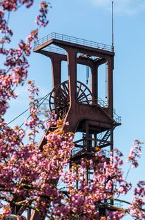 Der Förderturm und das Einstrebenfördergerüst wurden über den beiden ersten Zollverein-Schächten errichtet. 1904 und 1954 wurde die Schachtanlage modernisiert, auch die Förderanlagen wurden dabei erneuert.

Areal B [Schacht 1/2/8], Fördergerüst [B40]