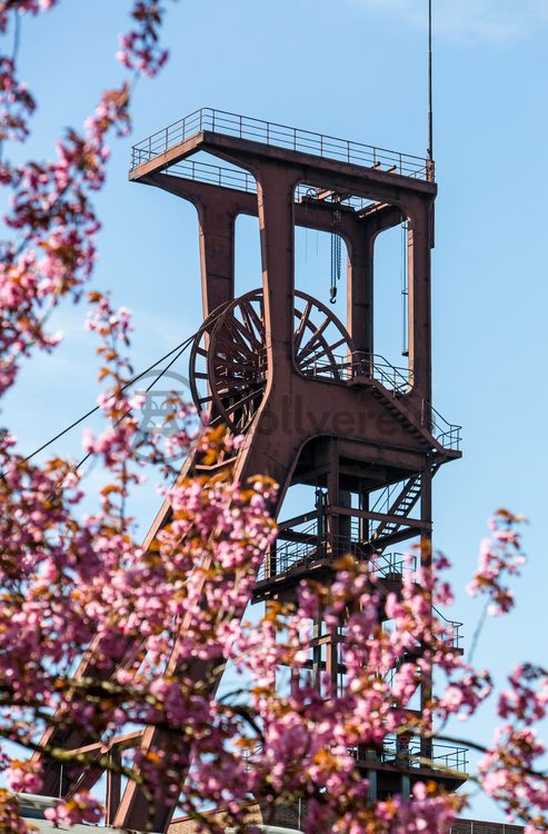 Der Förderturm und das Einstrebenfördergerüst wurden über den beiden ersten Zollverein-Schächten errichtet. 1904 und 1954 wurde die Schachtanlage modernisiert, auch die Förderanlagen wurden dabei erneuert.

Areal B [Schacht 1/2/8], Fördergerüst [B40]