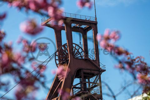 Der Förderturm und das Einstrebenfördergerüst wurden über den beiden ersten Zollverein-Schächten errichtet. 1904 und 1954 wurde die Schachtanlage modernisiert, auch die Förderanlagen wurden dabei erneuert.

Areal B [Schacht 1/2/8], Fördergerüst [B40]