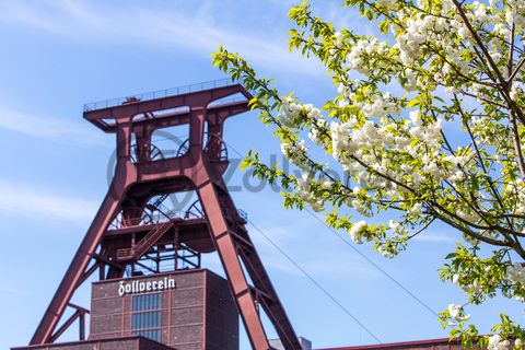 Das 55 Meter hohe Doppelbock-Fördergerüst ist das Wahrzeichen der Zeche Zollverein, der Stadt Essen und der gesamten Region: Die als Doppelstrebengerüst in Vollwandbauweise konstruierte Förderanlage ermöglichte eine doppelte Fördermechanik. Dadurch konnte die doppelte Menge an Förderwagen bzw. Fördergefäßen transportiert werden. Zollverein Schacht XII galt zu Betriebszeiten als die leistungsstärkste Zeche der Welt. 250 Stufen führen auf die oberste Plattform des Gerüstes, deren Seilscheiben sich auch heute noch manchmal drehen: Der Schacht wird von der RAG AG für die zentrale Wasserhaltung genutzt.

Areal A [Schacht XII], Fördergerüst [A1]