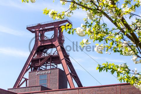 Das 55 Meter hohe Doppelbock-Fördergerüst ist das Wahrzeichen der Zeche Zollverein, der Stadt Essen und der gesamten Region: Die als Doppelstrebengerüst in Vollwandbauweise konstruierte Förderanlage ermöglichte eine doppelte Fördermechanik. Dadurch konnte die doppelte Menge an Förderwagen bzw. Fördergefäßen transportiert werden. Zollverein Schacht XII galt zu Betriebszeiten als die leistungsstärkste Zeche der Welt. 250 Stufen führen auf die oberste Plattform des Gerüstes, deren Seilscheiben sich auch heute noch manchmal drehen: Der Schacht wird von der RAG AG für die zentrale Wasserhaltung genutzt.

Areal A [Schacht XII], Fördergerüst [A1]