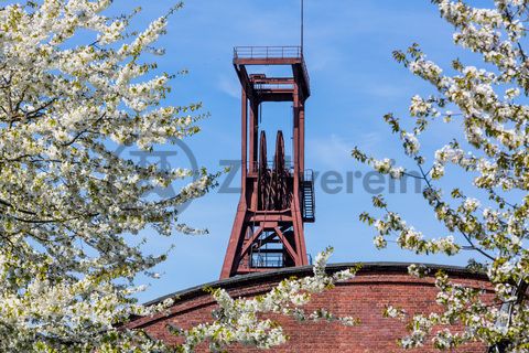 Der Förderturm und das Einstrebenfördergerüst wurden über den beiden ersten Zollverein-Schächten errichtet. 1904 und 1954 wurde die Schachtanlage modernisiert, auch die Förderanlagen wurden dabei erneuert.

Areal B [Schacht 1/2/8], Fördergerüst [B40]