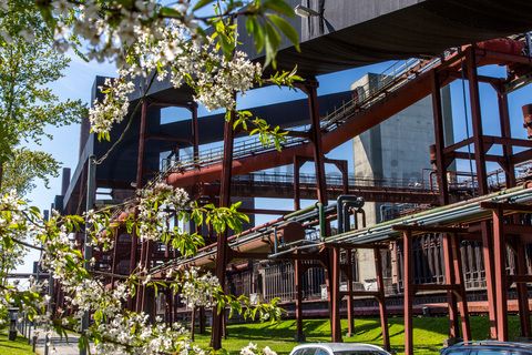 Die Kokerei Zollverein wurde von 1957 bis 1961 nach Plänen des Architekten Fritz Schupp gebaut, nach Erweiterungsarbeiten war sie ab 1973 die größte Zentralkokerei Europas. Täglich waren bis zu 1.000 Koker rund um die Uhr im Einsatz, bis zu 8.600 Tonnen Koks wurden pro Tag produziert. 1993 wurde die Kokerei stillgelegt, im Jahr 2000 in die Denkmalliste der Stadt Essen aufgenommen, seit 2001 gehört sie zum UNESCO-Welterbe. 2010 ist die Kokerei in den Besitz der Stiftung Zollverein übergegangen. Die „schwarze Seite“ der Kokerei, die den Bereich der Koksproduktion bezeichnet, kann bei einer Führung durch den Denkmalpfad ZOLLVEREIN® besichtigt werden.

Areal C [Kokerei]