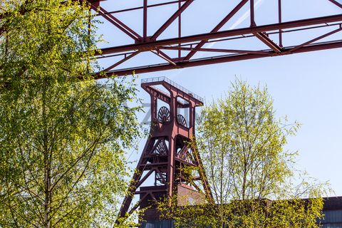 Das 55 Meter hohe Doppelbock-Fördergerüst ist das Wahrzeichen der Zeche Zollverein, der Stadt Essen und der gesamten Region: Die als Doppelstrebengerüst in Vollwandbauweise konstruierte Förderanlage ermöglichte eine doppelte Fördermechanik. Dadurch konnte die doppelte Menge an Förderwagen bzw. Fördergefäßen transportiert werden. Zollverein Schacht XII galt zu Betriebszeiten als die leistungsstärkste Zeche der Welt. 250 Stufen führen auf die oberste Plattform des Gerüstes, deren Seilscheiben sich auch heute noch manchmal drehen: Der Schacht wird von der RAG AG für die zentrale Wasserhaltung genutzt.

Areal A [Schacht XII], Fördergerüst [A1]