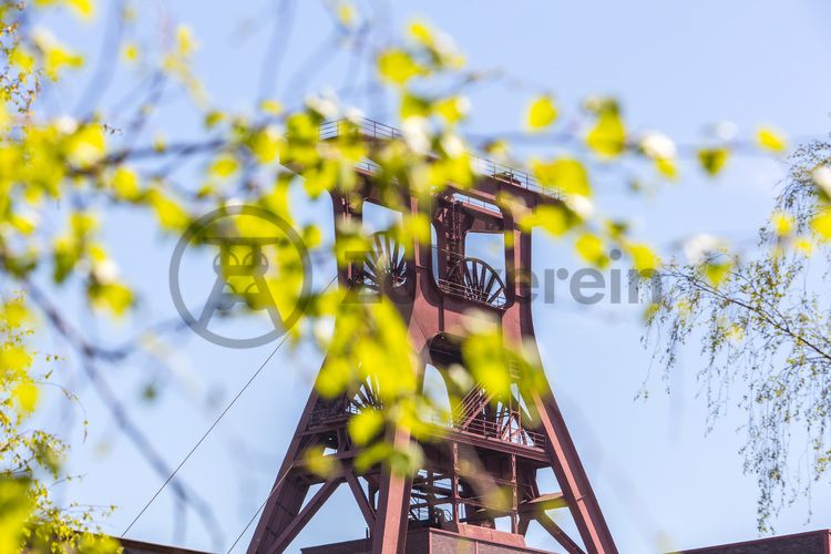 Das 55 Meter hohe Doppelbock-Fördergerüst ist das Wahrzeichen der Zeche Zollverein, der Stadt Essen und der gesamten Region: Die als Doppelstrebengerüst in Vollwandbauweise konstruierte Förderanlage ermöglichte eine doppelte Fördermechanik. Dadurch konnte die doppelte Menge an Förderwagen bzw. Fördergefäßen transportiert werden. Zollverein Schacht XII galt zu Betriebszeiten als die leistungsstärkste Zeche der Welt. 250 Stufen führen auf die oberste Plattform des Gerüstes, deren Seilscheiben sich auch heute noch manchmal drehen: Der Schacht wird von der RAG AG für die zentrale Wasserhaltung genutzt.

Areal A [Schacht XII], Fördergerüst [A1]