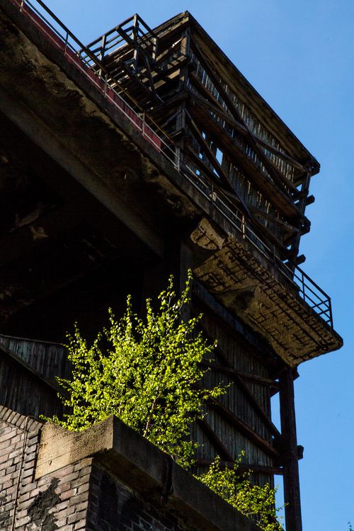 Die Kokerei Zollverein wurde von 1957 bis 1961 nach Plänen des Architekten Fritz Schupp gebaut, nach Erweiterungsarbeiten war sie ab 1973 die größte Zentralkokerei Europas. Täglich waren bis zu 1.000 Koker rund um die Uhr im Einsatz, bis zu 8.600 Tonnen Koks wurden pro Tag produziert. 1993 wurde die Kokerei stillgelegt, im Jahr 2000 in die Denkmalliste der Stadt Essen aufgenommen, seit 2001 gehört sie zum UNESCO-Welterbe. 2010 ist die Kokerei in den Besitz der Stiftung Zollverein übergegangen. Die „schwarze Seite“ der Kokerei, die den Bereich der Koksproduktion bezeichnet, kann bei einer Führung durch den Denkmalpfad ZOLLVEREIN® besichtigt werden.

Das Sonnenrad ist ein von dem Architekten und Ausstellungsgestalter Jürg Steiner (geb. 1950) nabenlos konstruiertes Riesenrad mit 14 Gondeln. Besucher erhalten einen Überblick über das Gelände ebenso wie einen Einblick in die aufgeschnittene Koksofenbatterie 9. Das Sonnenrad entstand 1999 anlässlich der Ausstellung 