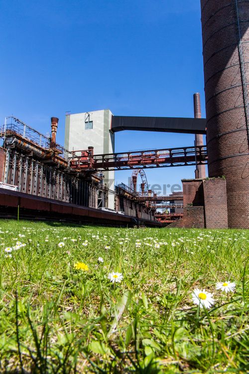 Die Kokerei Zollverein wurde von 1957 bis 1961 nach Plänen des Architekten Fritz Schupp gebaut, nach Erweiterungsarbeiten war sie ab 1973 die größte Zentralkokerei Europas. Täglich waren bis zu 1.000 Koker rund um die Uhr im Einsatz, bis zu 8.600 Tonnen Koks wurden pro Tag produziert. 1993 wurde die Kokerei stillgelegt, im Jahr 2000 in die Denkmalliste der Stadt Essen aufgenommen, seit 2001 gehört sie zum UNESCO-Welterbe. 2010 ist die Kokerei in den Besitz der Stiftung Zollverein übergegangen. Die „schwarze Seite“ der Kokerei, die den Bereich der Koksproduktion bezeichnet, kann bei einer Führung durch den Denkmalpfad ZOLLVEREIN® besichtigt werden.

Die 600 Meter langen Koksofenbatterien mit 304 schmalen Koksöfen prägen das Gesicht der sogenannten „schwarzen Seite“ der Kokerei. Die Ofendecke, das Innere der Koksöfen, die Löschgleishalle und weitere Bereiche können Besucher im Rahmen einer Führung im  Denkmalpfad ZOLLVEREIN® entdecken.

Areal C [Kokerei], Koksofenbatterien [C71]