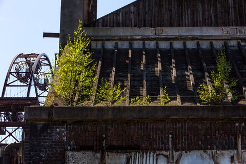 Die Kokerei Zollverein wurde von 1957 bis 1961 nach Plänen des Architekten Fritz Schupp gebaut, nach Erweiterungsarbeiten war sie ab 1973 die größte Zentralkokerei Europas. Täglich waren bis zu 1.000 Koker rund um die Uhr im Einsatz, bis zu 8.600 Tonnen Koks wurden pro Tag produziert. 1993 wurde die Kokerei stillgelegt, im Jahr 2000 in die Denkmalliste der Stadt Essen aufgenommen, seit 2001 gehört sie zum UNESCO-Welterbe. 2010 ist die Kokerei in den Besitz der Stiftung Zollverein übergegangen. Die „schwarze Seite“ der Kokerei, die den Bereich der Koksproduktion bezeichnet, kann bei einer Führung durch den Denkmalpfad ZOLLVEREIN® besichtigt werden.

Das Sonnenrad ist ein von dem Architekten und Ausstellungsgestalter Jürg Steiner (geb. 1950) nabenlos konstruiertes Riesenrad mit 14 Gondeln. Besucher erhalten einen Überblick über das Gelände ebenso wie einen Einblick in die aufgeschnittene Koksofenbatterie 9. Das Sonnenrad entstand 1999 anlässlich der Ausstellung 