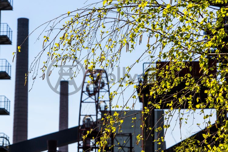 Die Kokerei Zollverein wurde von 1957 bis 1961 nach Plänen des Architekten Fritz Schupp gebaut, nach Erweiterungsarbeiten war sie ab 1973 die größte Zentralkokerei Europas. Täglich waren bis zu 1.000 Koker rund um die Uhr im Einsatz, bis zu 8.600 Tonnen Koks wurden pro Tag produziert. 1993 wurde die Kokerei stillgelegt, im Jahr 2000 in die Denkmalliste der Stadt Essen aufgenommen, seit 2001 gehört sie zum UNESCO-Welterbe. 2010 ist die Kokerei in den Besitz der Stiftung Zollverein übergegangen. Die „schwarze Seite“ der Kokerei, die den Bereich der Koksproduktion bezeichnet, kann bei einer Führung durch den Denkmalpfad ZOLLVEREIN® besichtigt werden.

Das Sonnenrad ist ein von dem Architekten und Ausstellungsgestalter Jürg Steiner (geb. 1950) nabenlos konstruiertes Riesenrad mit 14 Gondeln. Besucher erhalten einen Überblick über das Gelände ebenso wie einen Einblick in die aufgeschnittene Koksofenbatterie 9. Das Sonnenrad entstand 1999 anlässlich der Ausstellung 