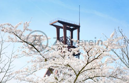 Der Förderturm und das Einstrebenfördergerüst wurden über den beiden ersten Zollverein-Schächten errichtet. 1904 und 1954 wurde die Schachtanlage modernisiert, auch die Förderanlagen wurden dabei erneuert.

Areal B [Schacht 1/2/8], Fördergerüst [B40]