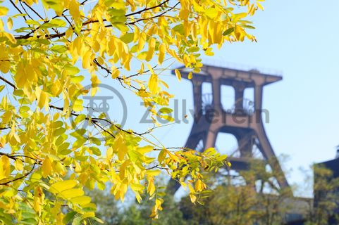 Das 55 Meter hohe Doppelbock-Fördergerüst ist das Wahrzeichen der Zeche Zollverein, der Stadt Essen und der gesamten Region: Die als Doppelstrebengerüst in Vollwandbauweise konstruierte Förderanlage ermöglichte eine doppelte Fördermechanik. Dadurch konnte die doppelte Menge an Förderwagen bzw. Fördergefäßen transportiert werden. Zollverein Schacht XII galt zu Betriebszeiten als die leistungsstärkste Zeche der Welt. 250 Stufen führen auf die oberste Plattform des Gerüstes, deren Seilscheiben sich auch heute noch manchmal drehen: Der Schacht wird von der RAG AG für die zentrale Wasserhaltung genutzt.

Areal A [Schacht XII], Fördergerüst [A1]