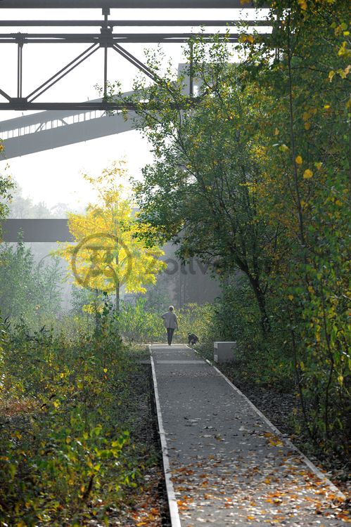 Die Industrienatur auf dem UNESCO-Welterbe Zollverein ist einzigartig und zeigt eindrucksvoll, dass große innerstädtische Brachen wichtige Lebensräume für Tiere und Pflanzen in der stark besiedelten Region des Ruhrgebiets sind. Auf dem Welterbe wurden über 540 Farn- und Blütenpflanzenarten, etwa 100 Flechtenarten, rund 60 Vogelarten, über 20 Schmetterlingsarten und 6 Amphibienarten nachgewiesen. 

Seit 2006 wird die besondere Verbindung von Natur und Industriearchitektur im Zollverein Park gepflegt und kontinuierlich weiterentwickelt. Grundlage für die Landschaftsgestaltung des Parks ist der Masterplan „Industrielandschaft Zollverein“, den 2003 die Agentur Agence Ter unter Leitung von Henri Bava erstellt hat.

Der Park ist nicht nur Lebensraum für viele Pflanzen- und Tierarten, sondern auch ein attraktives Freizeit- und Naherholungsgebiet. 2014 wurde der Zollverein Park zum beliebtesten Ziel im Emscher Landschaftspark gewählt. Früher wurde hier das taube Gestein als Abfallprodukt der Kohleförderung gelagert. Heute laden frei zugängliche Sitzgelegenheiten, Picknickplätze, Aussichtspunkte und Spielorte für Kinder zum Verweilen ein. Namhafte Künstler haben sich mit Kunstwerken und Skulpturen im Zollverein Park verewigt.

Barrierefreie 3D-Geländemodelle z. B. auf dem Ehrenhof und dem Forum Kohlenwäsche sowie Bodenwegweiser auf der 3,5 Kilometer langen Ringpromenade erleichtern die Orientierung. Eine flächige, natürliche Beleuchtung sorgt auch in der Dämmerung für ein sicheres Gefühl bei den Besuchern.    

Der Wagenumlauf befindet sich zwischen der Wipperhalle und der Rückseite des Doppelbock-Fördergerüstes. In dem langgestreckten Gebäude wurden die Förderwagen, nachdem sie entleert wurden, wieder zurück zum Schacht geführt. Heute ist der Wagenumlauf Teil des Denkmalpfads Zollverein.