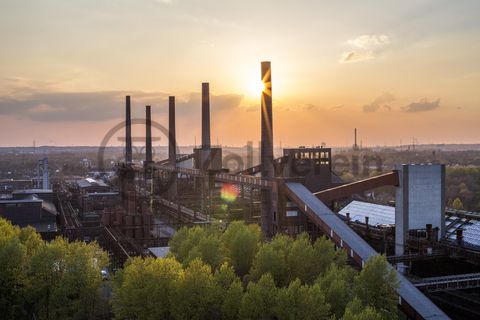 Die Kokerei Zollverein wurde von 1957 bis 1961 nach Plänen des Architekten Fritz Schupp gebaut, nach Erweiterungsarbeiten war sie ab 1973 die größte Zentralkokerei Europas. Täglich waren bis zu 1.000 Koker rund um die Uhr im Einsatz, bis zu 8.600 Tonnen Koks wurden pro Tag produziert. 1993 wurde die Kokerei stillgelegt, im Jahr 2000 in die Denkmalliste der Stadt Essen aufgenommen, seit 2001 gehört sie zum UNESCO-Welterbe. 2010 ist die Kokerei in den Besitz der Stiftung Zollverein übergegangen. Die „schwarze Seite“ der Kokerei, die den Bereich der Koksproduktion bezeichnet, kann bei einer Führung durch den Denkmalpfad ZOLLVEREIN® besichtigt werden.

Die 600 Meter langen Koksofenbatterien mit 304 schmalen Koksöfen prägen das Gesicht der sogenannten „schwarzen Seite“ der Kokerei. Die Ofendecke, das Innere der Koksöfen, die Löschgleishalle und weitere Bereiche können Besucher im Rahmen einer Führung im  Denkmalpfad ZOLLVEREIN® entdecken.

Areal C [Kokerei], Koksofenbatterien [C71]