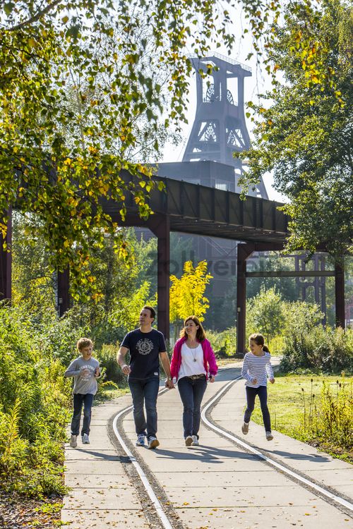 Die Industrienatur auf dem UNESCO-Welterbe Zollverein ist einzigartig und zeigt eindrucksvoll, dass große innerstädtische Brachen wichtige Lebensräume für Tiere und Pflanzen in der stark besiedelten Region des Ruhrgebiets sind. Auf dem Welterbe wurden über 540 Farn- und Blütenpflanzenarten, etwa 100 Flechtenarten, rund 60 Vogelarten, über 20 Schmetterlingsarten und 6 Amphibienarten nachgewiesen. 

Seit 2006 wird die besondere Verbindung von Natur und Industriearchitektur im Zollverein Park gepflegt und kontinuierlich weiterentwickelt. Grundlage für die Landschaftsgestaltung des Parks ist der Masterplan „Industrielandschaft Zollverein“, den 2003 die Agentur Agence Ter unter Leitung von Henri Bava erstellt hat.

Der Park ist nicht nur Lebensraum für viele Pflanzen- und Tierarten, sondern auch ein attraktives Freizeit- und Naherholungsgebiet. 2014 wurde der Zollverein Park zum beliebtesten Ziel im Emscher Landschaftspark gewählt. Früher wurde hier das taube Gestein als Abfallprodukt der Kohleförderung gelagert. Heute laden frei zugängliche Sitzgelegenheiten, Picknickplätze, Aussichtspunkte und Spielorte für Kinder zum Verweilen ein. Namhafte Künstler haben sich mit Kunstwerken und Skulpturen im Zollverein Park verewigt.  

Areal A [Schacht XII]