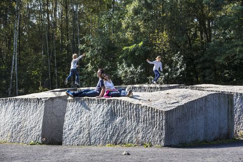 Von 1992 bis 1997 nutzte der Bildhauer Ulrich Rückriem (geb. 1938) die Halle 5 [A5] auf Schacht XII als Atelier und Skulpturenhalle. Auf dem stillgelegten Zechengelände zeigte er 1992 im Rahmen der DOCUMENTA IX seine Arbeiten und erklärte die einstige Zeche kurzerhand zur Außenstation dieser Weltausstellung der Kunst – ein Novum in der DOCUMENTA-Geschichte. Südlich der Halde Zollverein platzierte er 1993 auf einer Lichtung eine Steinskulptur, das „Castell“, und legte damit sozusagen den Grundstein für den Erhalt und die Nutzbarmachung der Halde von Schacht XII. Der Akt kam einer „Besetzung“ gleich, denn es gab bereits Pläne für eine Nutzung der Fläche als städtische Baustoffdeponie. 

Die Grundform dieser monumentalen Skulptur besteht aus einem riesigen Quader aus österreichischem Granit mit einer Kantenlänge von 10x10 Metern. Weitere Fixpunkte und Wegmarken auf der Halde bilden die vier Steinstelen auf der Halde, die je ein Skulpturenpaar bilden. Ein Skulpturenpaar trägt den Titel „Granit Bleu de Vire, gespalten und geschnitten“, das andere „Hellgrauer finnischer Granit, gespalten“ und „finnischer Granit hellgrau, gespalten“.

Halde