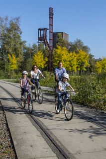 Die Industrienatur auf dem UNESCO-Welterbe Zollverein ist einzigartig und zeigt eindrucksvoll, dass große innerstädtische Brachen wichtige Lebensräume für Tiere und Pflanzen in der stark besiedelten Region des Ruhrgebiets sind. Auf dem Welterbe wurden über 540 Farn- und Blütenpflanzenarten, etwa 100 Flechtenarten, rund 60 Vogelarten, über 20 Schmetterlingsarten und 6 Amphibienarten nachgewiesen. 

Seit 2006 wird die besondere Verbindung von Natur und Industriearchitektur im Zollverein Park gepflegt und kontinuierlich weiterentwickelt. Grundlage für die Landschaftsgestaltung des Parks ist der Masterplan „Industrielandschaft Zollverein“, den 2003 die Agentur Agence Ter unter Leitung von Henri Bava erstellt hat.

Der Park ist nicht nur Lebensraum für viele Pflanzen- und Tierarten, sondern auch ein attraktives Freizeit- und Naherholungsgebiet. 2014 wurde der Zollverein Park zum beliebtesten Ziel im Emscher Landschaftspark gewählt. Früher wurde hier das taube Gestein als Abfallprodukt der Kohleförderung gelagert. Heute laden frei zugängliche Sitzgelegenheiten, Picknickplätze, Aussichtspunkte und Spielorte für Kinder zum Verweilen ein. Namhafte Künstler haben sich mit Kunstwerken und Skulpturen im Zollverein Park verewigt.  

Der Förderturm und das Einstrebenfördergerüst wurden über den beiden ersten Zollverein-Schächten errichtet. 1904 und 1954 wurde die Schachtanlage modernisiert, auch die Förderanlagen wurden dabei erneuert.

Areal B [Schacht 1/2/8], Fördergerüst [B40] und Förderturm [B41]