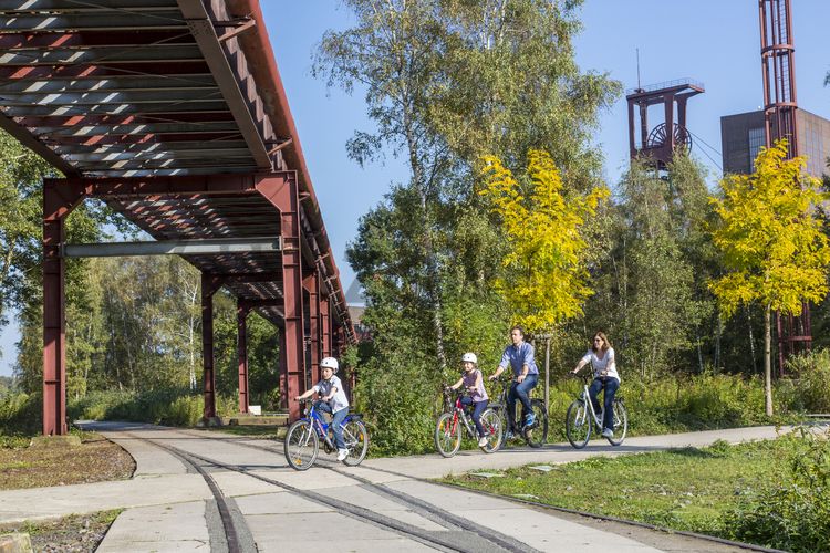 Die Industrienatur auf dem UNESCO-Welterbe Zollverein ist einzigartig und zeigt eindrucksvoll, dass große innerstädtische Brachen wichtige Lebensräume für Tiere und Pflanzen in der stark besiedelten Region des Ruhrgebiets sind. Auf dem Welterbe wurden über 540 Farn- und Blütenpflanzenarten, etwa 100 Flechtenarten, rund 60 Vogelarten, über 20 Schmetterlingsarten und 6 Amphibienarten nachgewiesen. 

Seit 2006 wird die besondere Verbindung von Natur und Industriearchitektur im Zollverein Park gepflegt und kontinuierlich weiterentwickelt. Grundlage für die Landschaftsgestaltung des Parks ist der Masterplan „Industrielandschaft Zollverein“, den 2003 die Agentur Agence Ter unter Leitung von Henri Bava erstellt hat.

Der Park ist nicht nur Lebensraum für viele Pflanzen- und Tierarten, sondern auch ein attraktives Freizeit- und Naherholungsgebiet. 2014 wurde der Zollverein Park zum beliebtesten Ziel im Emscher Landschaftspark gewählt. Früher wurde hier das taube Gestein als Abfallprodukt der Kohleförderung gelagert. Heute laden frei zugängliche Sitzgelegenheiten, Picknickplätze, Aussichtspunkte und Spielorte für Kinder zum Verweilen ein. Namhafte Künstler haben sich mit Kunstwerken und Skulpturen im Zollverein Park verewigt.  

Der Förderturm und das Einstrebenfördergerüst wurden über den beiden ersten Zollverein-Schächten errichtet. 1904 und 1954 wurde die Schachtanlage modernisiert, auch die Förderanlagen wurden dabei erneuert.

Areal B [Schacht 1/2/8], Fördergerüst [B40] und Förderturm [B41]