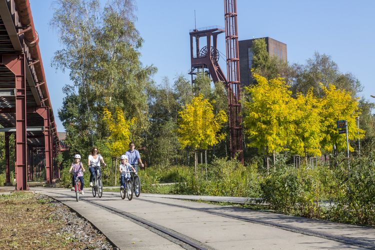 Die Industrienatur auf dem UNESCO-Welterbe Zollverein ist einzigartig und zeigt eindrucksvoll, dass große innerstädtische Brachen wichtige Lebensräume für Tiere und Pflanzen in der stark besiedelten Region des Ruhrgebiets sind. Auf dem Welterbe wurden über 540 Farn- und Blütenpflanzenarten, etwa 100 Flechtenarten, rund 60 Vogelarten, über 20 Schmetterlingsarten und 6 Amphibienarten nachgewiesen. 

Seit 2006 wird die besondere Verbindung von Natur und Industriearchitektur im Zollverein Park gepflegt und kontinuierlich weiterentwickelt. Grundlage für die Landschaftsgestaltung des Parks ist der Masterplan „Industrielandschaft Zollverein“, den 2003 die Agentur Agence Ter unter Leitung von Henri Bava erstellt hat.

Der Park ist nicht nur Lebensraum für viele Pflanzen- und Tierarten, sondern auch ein attraktives Freizeit- und Naherholungsgebiet. 2014 wurde der Zollverein Park zum beliebtesten Ziel im Emscher Landschaftspark gewählt. Früher wurde hier das taube Gestein als Abfallprodukt der Kohleförderung gelagert. Heute laden frei zugängliche Sitzgelegenheiten, Picknickplätze, Aussichtspunkte und Spielorte für Kinder zum Verweilen ein. Namhafte Künstler haben sich mit Kunstwerken und Skulpturen im Zollverein Park verewigt.  

Der Förderturm und das Einstrebenfördergerüst wurden über den beiden ersten Zollverein-Schächten errichtet. 1904 und 1954 wurde die Schachtanlage modernisiert, auch die Förderanlagen wurden dabei erneuert.

Areal B [Schacht 1/2/8], Fördergerüst [B40] und Förderturm [B41]