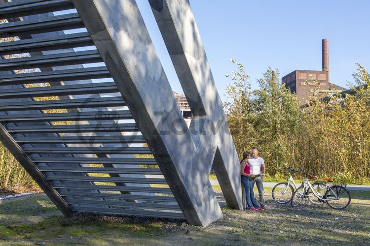 Die Industrienatur auf dem UNESCO-Welterbe Zollverein ist einzigartig und zeigt eindrucksvoll, dass große innerstädtische Brachen wichtige Lebensräume für Tiere und Pflanzen in der stark besiedelten Region des Ruhrgebiets sind. Auf dem Welterbe wurden über 540 Farn- und Blütenpflanzenarten, etwa 100 Flechtenarten, rund 60 Vogelarten, über 20 Schmetterlingsarten und 6 Amphibienarten nachgewiesen. 

Seit 2006 wird die besondere Verbindung von Natur und Industriearchitektur im Zollverein Park gepflegt und kontinuierlich weiterentwickelt. Grundlage für die Landschaftsgestaltung des Parks ist der Masterplan „Industrielandschaft Zollverein“, den 2003 die Agentur Agence Ter unter Leitung von Henri Bava erstellt hat.

Der Park ist nicht nur Lebensraum für viele Pflanzen- und Tierarten, sondern auch ein attraktives Freizeit- und Naherholungsgebiet. 2014 wurde der Zollverein  Park zum beliebtesten Ziel im Emscher Landschaftspark gewählt. Früher wurde hier das taube Gestein als Abfallprodukt der Kohleförderung gelagert. Heute laden frei zugängliche Sitzgelegenheiten, Picknickplätze, Aussichtspunkte und Spielorte für Kinder zum Verweilen ein. Namhafte Künstler haben sich mit Kunstwerken und Skulpturen im Zollverein Park verewigt.

Die turmartige Aussichtsplattform der Künstlergruppe Observatorium im Zollverein Park ermöglicht neue Blickwinkel auf das Kokereigelände.

Areal C [Kokerei]