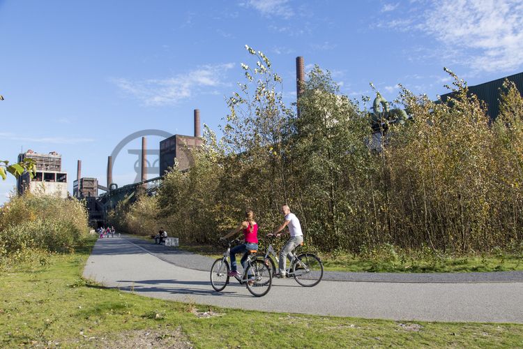 Die 3,5 Kilometer lange Ringpromenade ist Teil des Zollverein Parks und lädt zu einem Spaziergang über das Areal der Zeche und Kokerei ein. Auch Jogger und Fahrradfahrer kommen hier auf ihre Kosten. 

Die Kokerei Zollverein wurde von 1957 bis 1961 nach Plänen des Architekten Fritz Schupp gebaut, nach Erweiterungsarbeiten war sie ab 1973 die größte Zentralkokerei Europas. Täglich waren bis zu 1.000 Koker rund um die Uhr im Einsatz, bis zu 8.600 Tonnen Koks wurden pro Tag produziert. 1993 wurde die Kokerei stillgelegt, im Jahr 2000 in die Denkmalliste der Stadt Essen aufgenommen, seit 2001 gehört sie zum UNESCO-Welterbe. 2010 ist die Kokerei in den Besitz der Stiftung Zollverein übergegangen. Die „schwarze Seite“ der Kokerei, die den Bereich der Koksproduktion bezeichnet, kann bei einer Führung durch den Denkmalpfad ZOLLVEREIN® besichtigt werden.

Areal C [Kokerei]