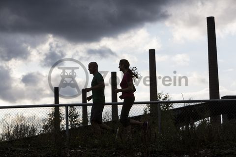 Die Industrienatur auf dem UNESCO-Welterbe Zollverein ist einzigartig und zeigt eindrucksvoll, dass große innerstädtische Brachen wichtige Lebensräume für Tiere und Pflanzen in der stark besiedelten Region des Ruhrgebiets sind. Auf dem Welterbe wurden über 540 Farn- und Blütenpflanzenarten, etwa 100 Flechtenarten, rund 60 Vogelarten, über 20 Schmetterlingsarten und 6 Amphibienarten nachgewiesen. 

Seit 2006 wird die besondere Verbindung von Natur und Industriearchitektur im Zollverein Park gepflegt und kontinuierlich weiterentwickelt. Grundlage für die Landschaftsgestaltung des Parks ist der Masterplan „Industrielandschaft Zollverein“, den 2003 die Agentur Agence Ter unter Leitung von Henri Bava erstellt hat.

Der Park ist nicht nur Lebensraum für viele Pflanzen- und Tierarten, sondern auch ein attraktives Freizeit- und Naherholungsgebiet. 2014 wurde der ZOLLVEREIN® Park zum beliebtesten Ziel im Emscher Landschaftspark gewählt. Früher wurde hier das taube Gestein als Abfallprodukt der Kohleförderung gelagert. Heute laden frei zugängliche Sitzgelegenheiten, Picknickplätze, Aussichtspunkte und Spielorte für Kinder zum Verweilen ein. Namhafte Künstler haben sich mit Kunstwerken und Skulpturen im ZOLLVEREIN® Park verewigt.

Die 3,5 Kilometer lange Ringpromenade ist Teil des Zollverein Parks und lädt zu einem Spaziergang über das Areal der Zeche und Kokerei ein. Auch Jogger und Fahrradfahrer kommen hier auf ihre Kosten. 

Areal C [Kokerei]